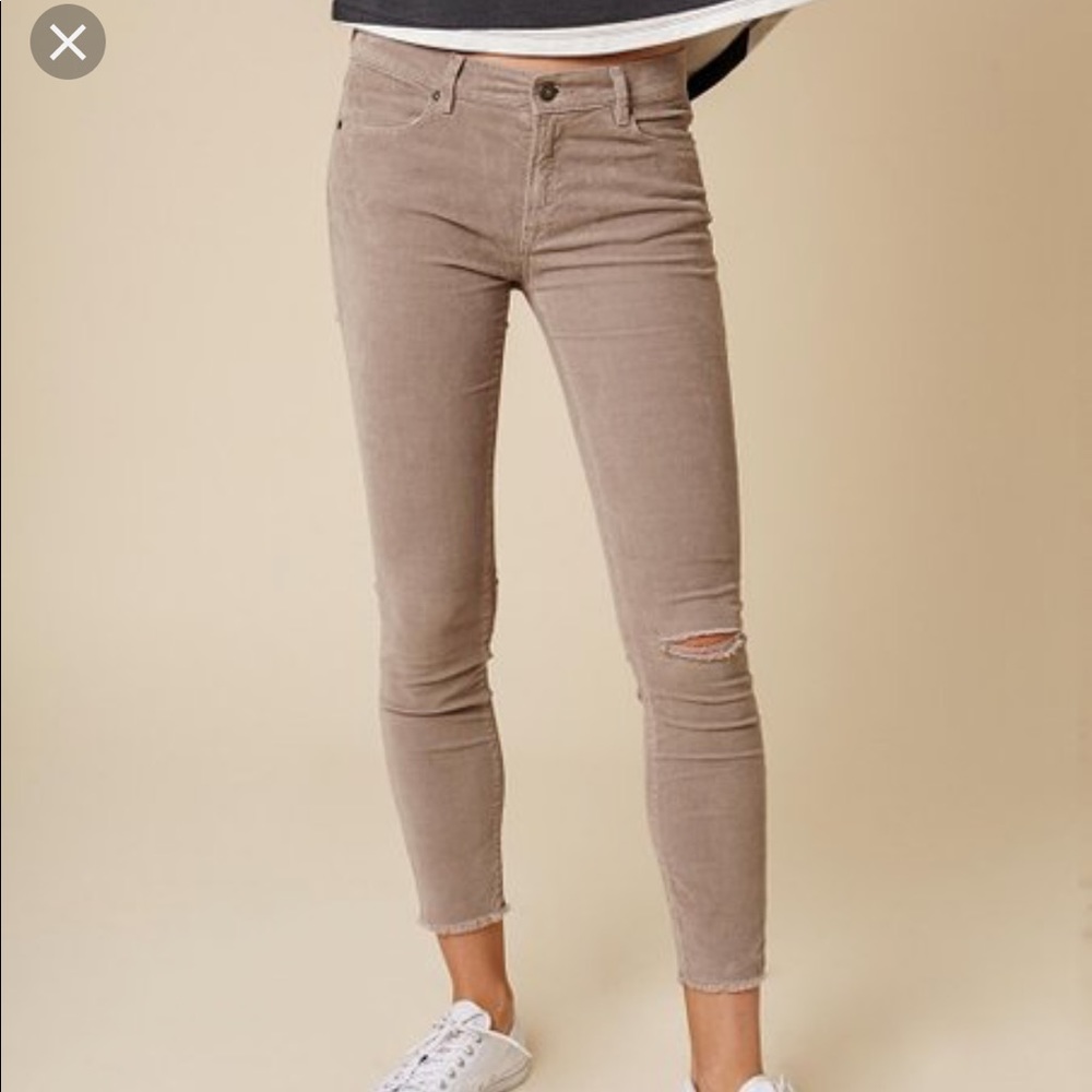 NWT• Size 26 Sincerely Jules Savannah cords